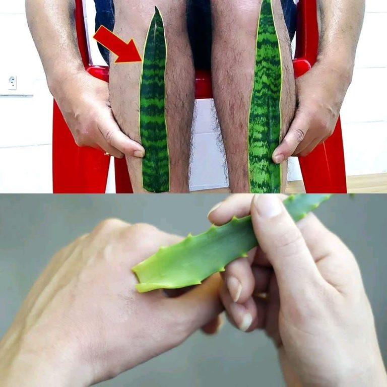 1 348 509