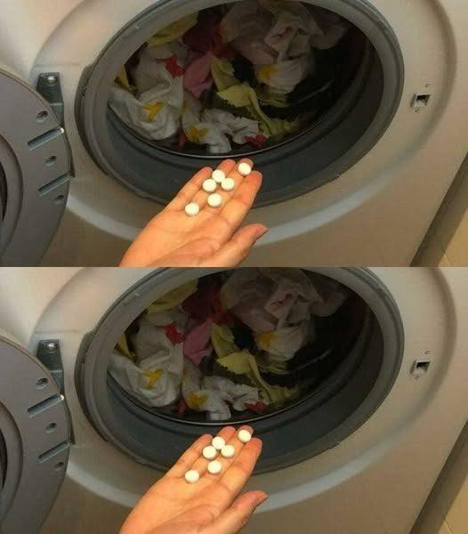 484961545 621191810899826 787084480212438717 N