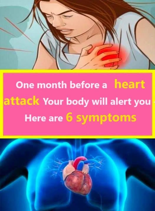 488450479 1045956234255808 1808648883636190062 N