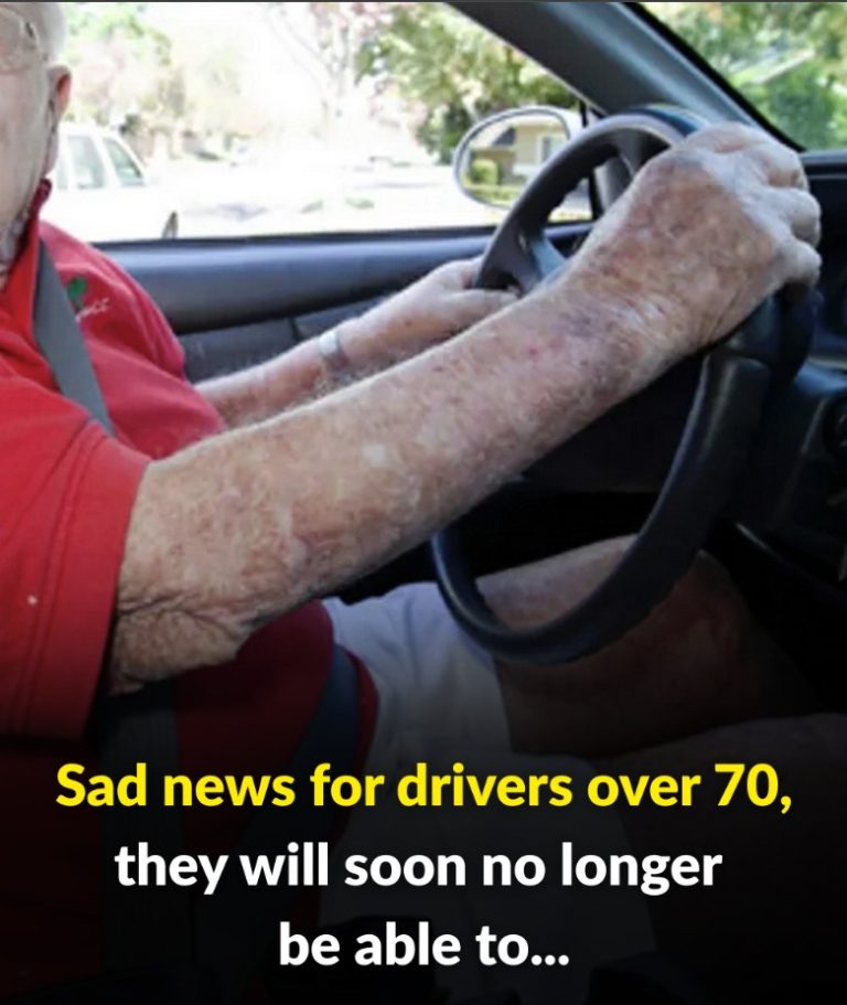 490485883 122124348932697098 6606321187460750087 N