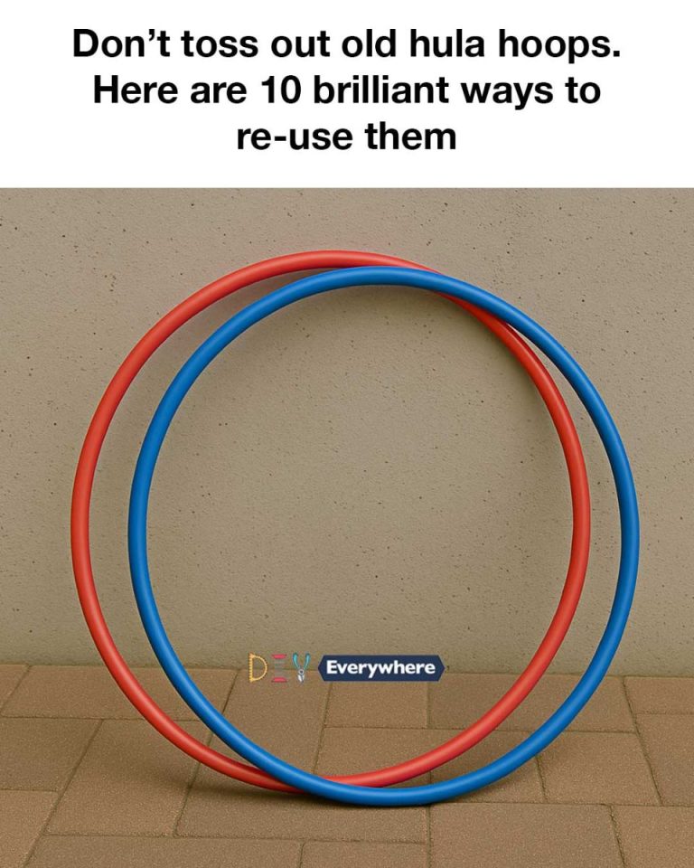 491838657 1211194054132577 4873465770144453419 N