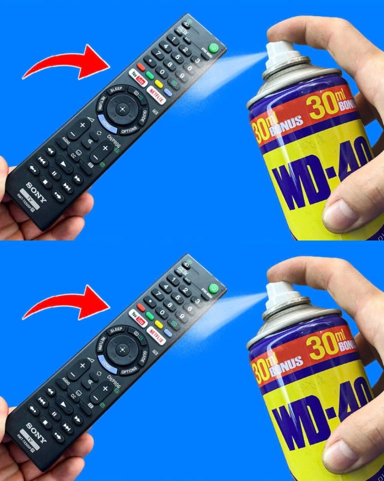 492221737 122188147346093586 8923364382148350467 N