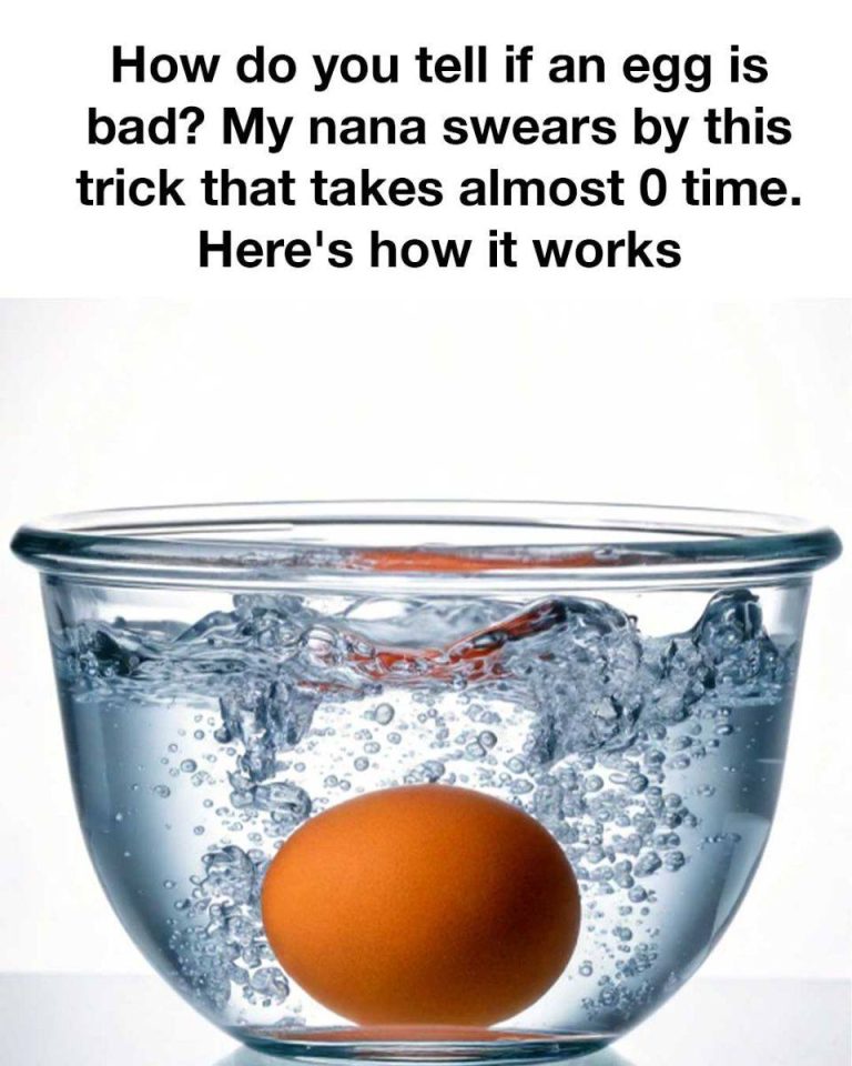 495538106 1902156530535395 4715565098564981360 N